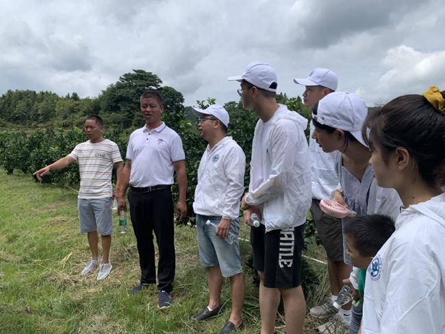 實(shí)踐隊(duì)在村主任伍玉炎帶領(lǐng)下參觀贛南臍橙種植園。福建船政交通職業(yè)學(xué)院供圖